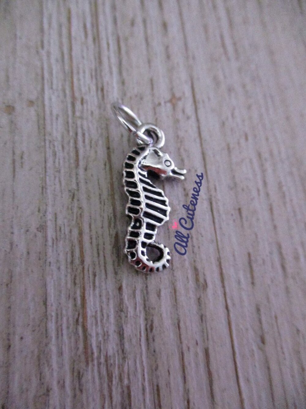 🎀 Seahorse Charm